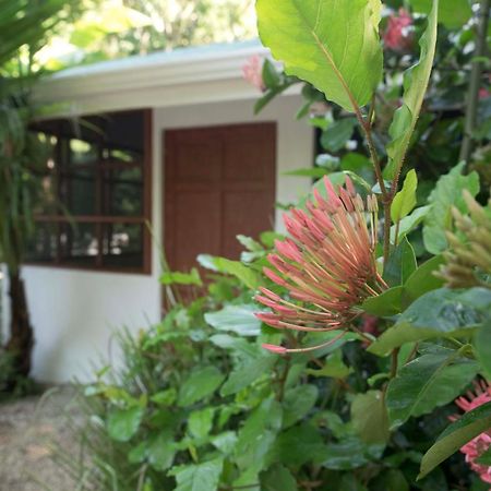 Hotel Jungle'S Edge Nosara Zewnętrze zdjęcie