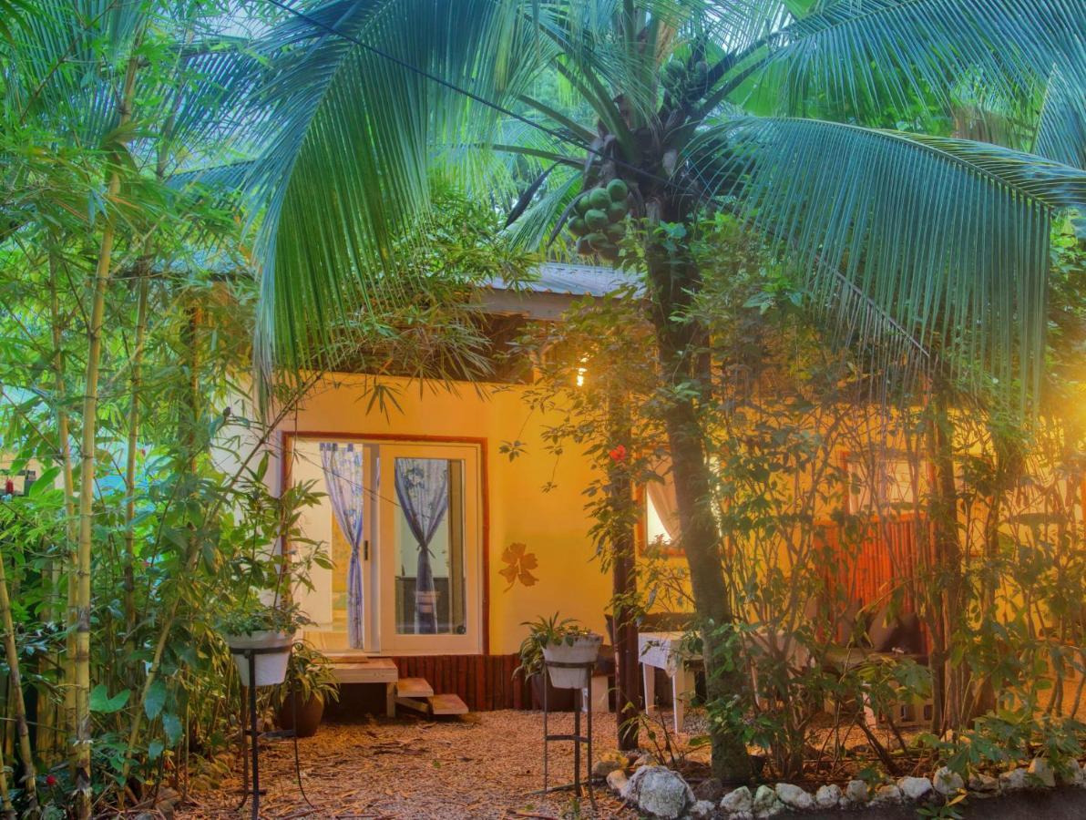 Hotel Jungle'S Edge Nosara Zewnętrze zdjęcie