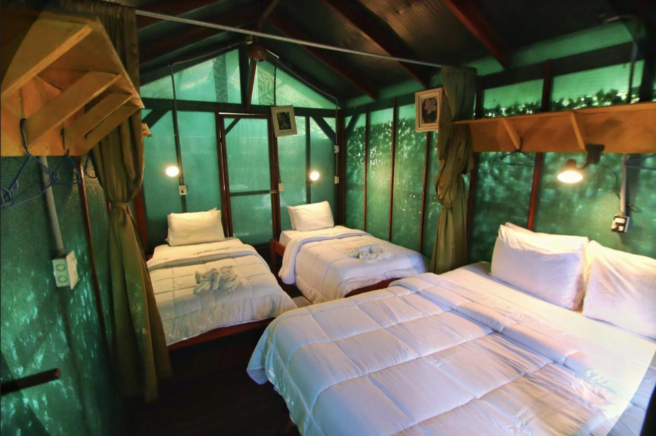 Hotel Jungle'S Edge Nosara Zewnętrze zdjęcie