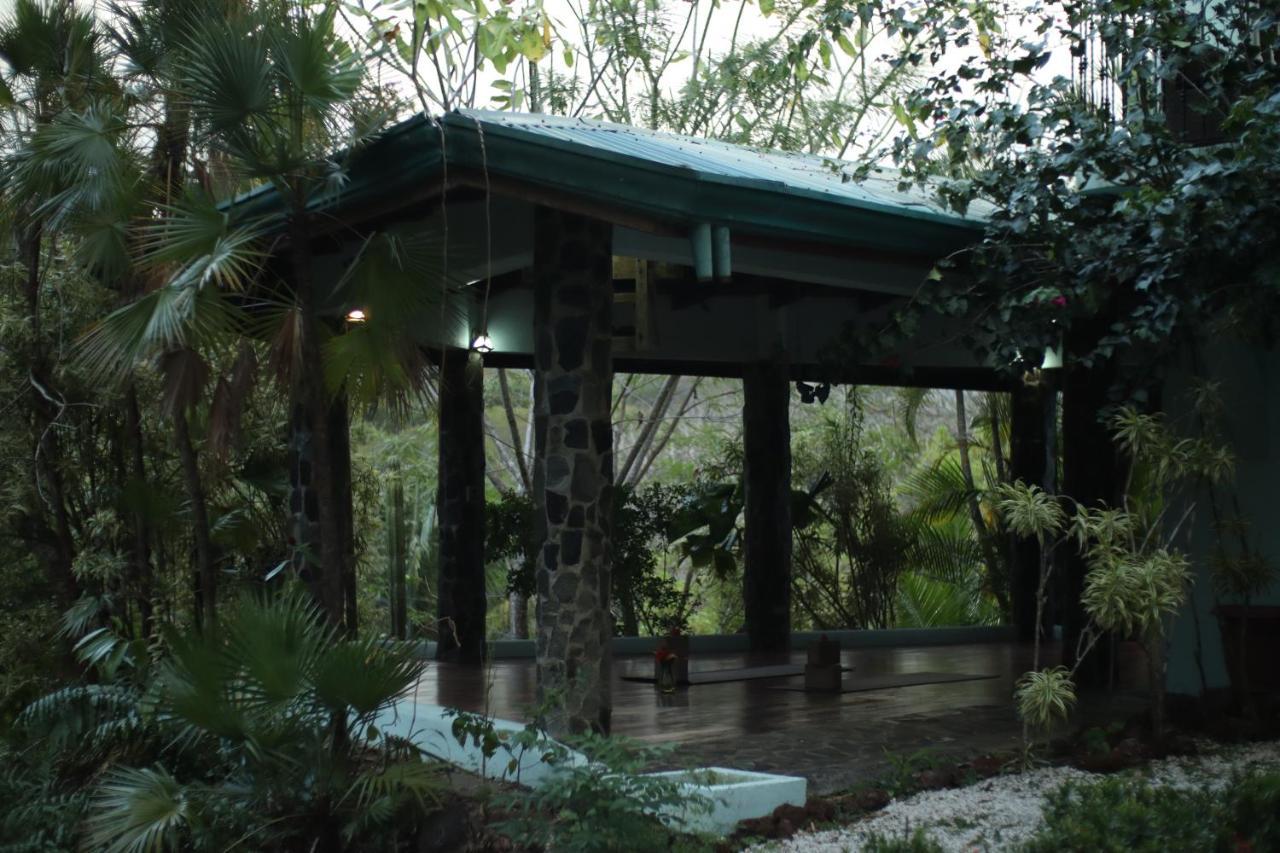 Hotel Jungle'S Edge Nosara Zewnętrze zdjęcie