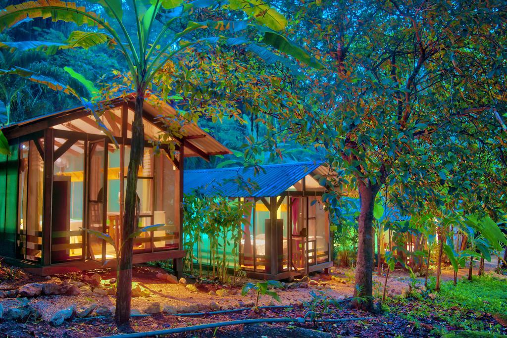 Hotel Jungle'S Edge Nosara Zewnętrze zdjęcie