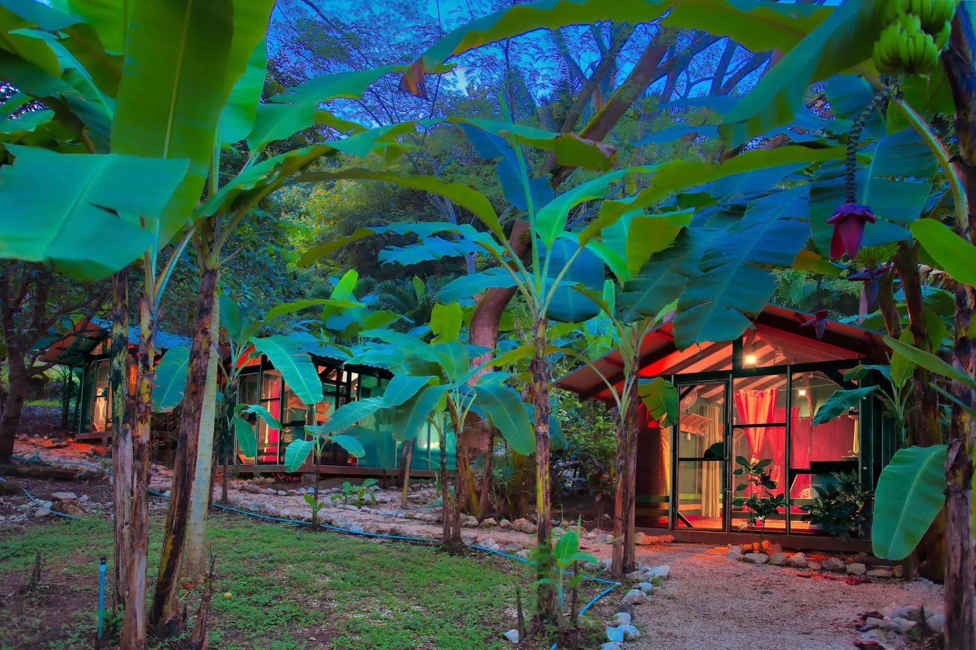 Hotel Jungle'S Edge Nosara Zewnętrze zdjęcie